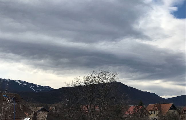 Vila William's - Photo 34