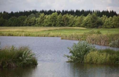 Komfortowy dom wakacyjny dla kilku rodzin - Foto 43