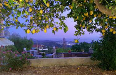 V&V Boutique Villa - Photo 10