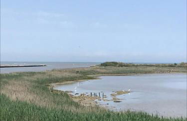 Appartamento Lavanda - Casa vacanza nel Delta del Po - Foto 38