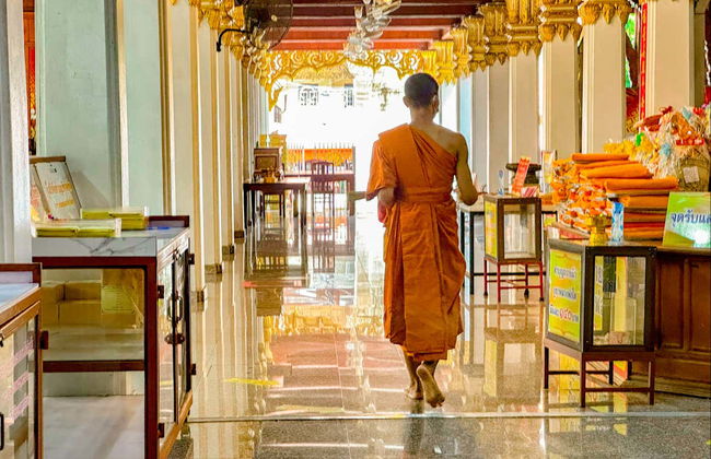 Escursione alle rovine di Ayutthaya - Foto 8