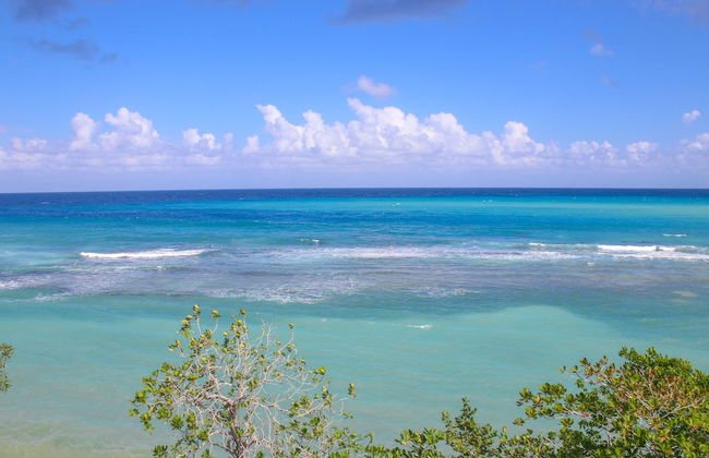 Rica Vista Beach Cottages - Foto 24