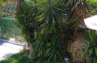 The Sunny House - Photo 41