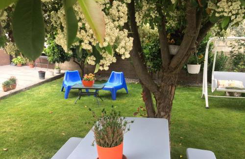 Casa de Férias MariCeu Mirandela - Foto 9