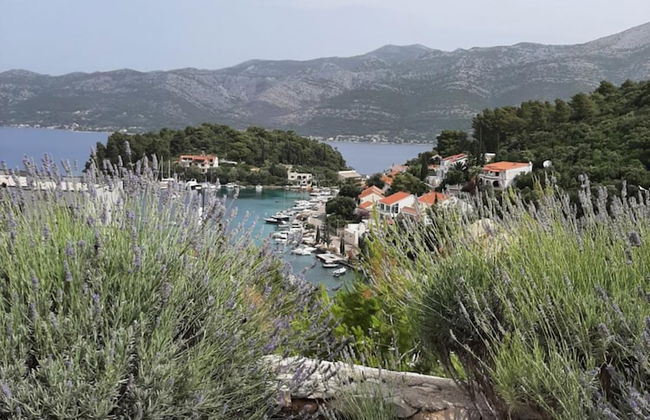 White Cloud Apartments - Photo 53