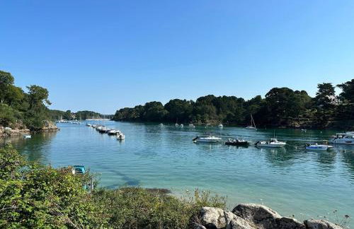 Charming house 100 m from the beach - Port-Manech - Foto 25