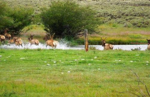 4412 Mackinaw - Foto 6