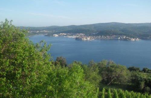 Apartment Bogoje - Photo 17