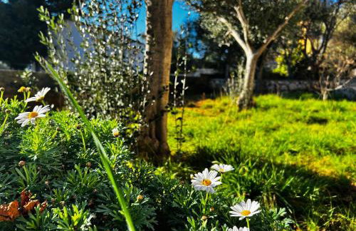 apartman MLIN 4 - Foto 3