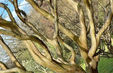 L'annexe du domaine de brisset - Foto 43