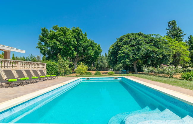 Son Pax Petit in Palma - Foto 31