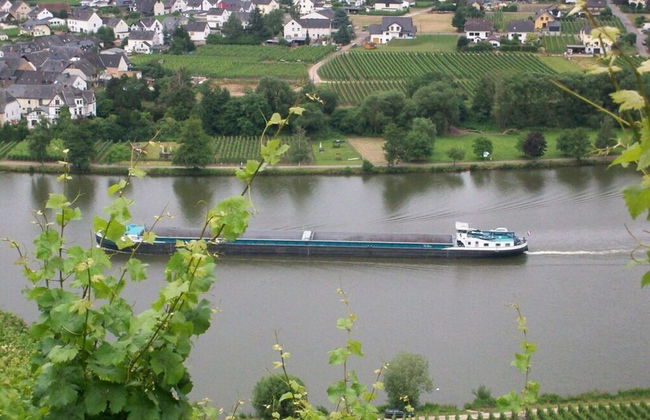 in Landhuisstijl met Uitzicht op de Moezel - Photo 27