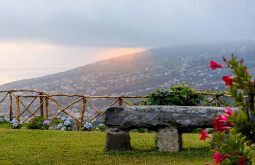 Recanto das Florenças (2) - Photo 42