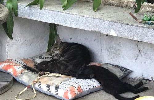 Casa 1-Quinta dos Penedos - Foto 37