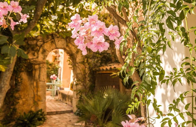 Mas Nur Sitges - Photo 66