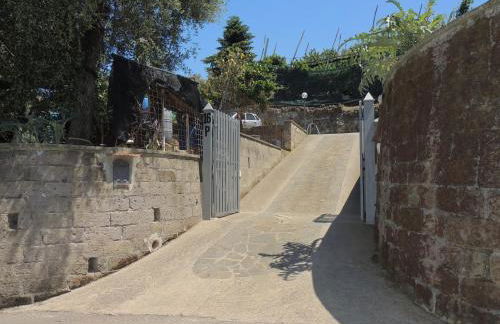 Johanna’s house - Foto 39