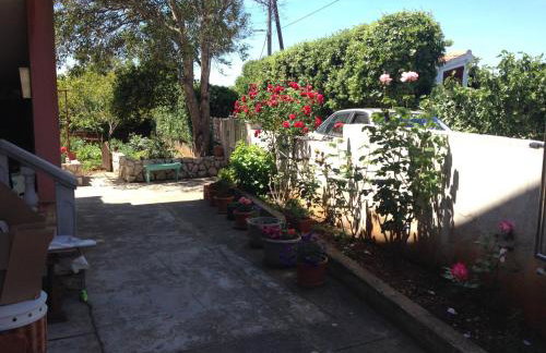 Apartments by the sea Muline, Ugljan - 12533 - Foto 7