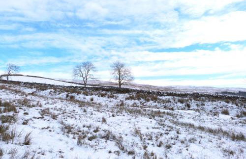 Low Orchard House - Foto 46