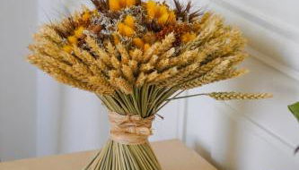 La Marie-Louise - Foto 5