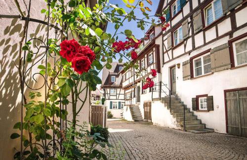 Ein ganzes Haus für sich allein in Biberach - Photo 8