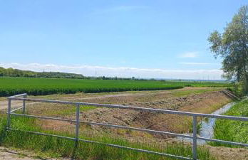 Fewo am grossen Bruch 2 - Foto 17