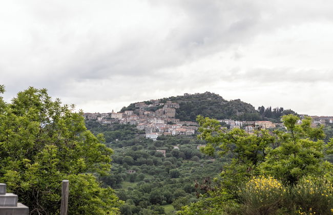 Casa Frida - Foto 25