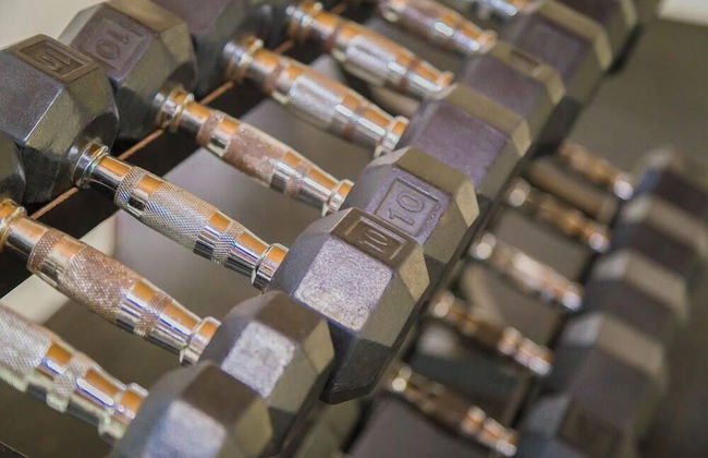 Paradise Escape Drax Hall Ocho Rios - Foto 22