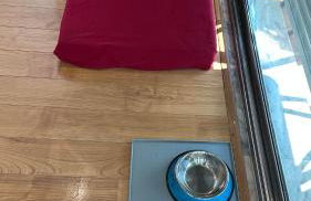 Studio L - Ericeira - Foto 42