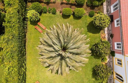 Azores Green Villas - Photo 8