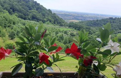 Albergo Torre - Foto 37