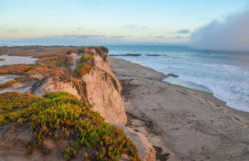 Belle Caruso - Photo 27