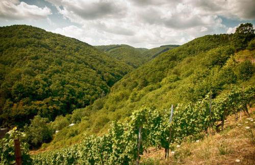 Ferienwohnungen Lithos - Foto 14