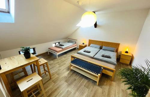 P6 - Familienwohnung am Park und Saale - Foto 18