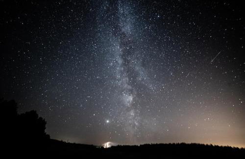 Maciejówka Borki 33 - Foto 53