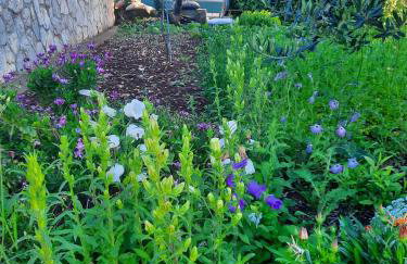 Apartments by the sea Luka Dubrava, Peljesac - 21647 - Foto 9