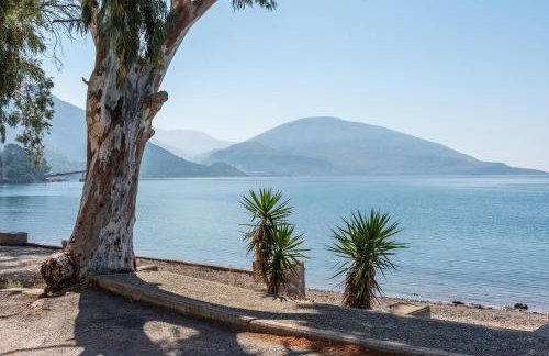 Γκαρσονιέρα 1 δίπλα στη θάλασσα! - Foto 21