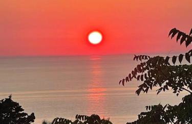 Melianto House - Foto 22