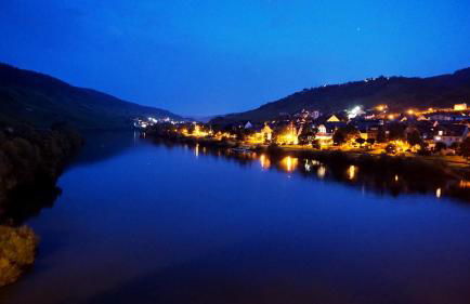 Weingut Matthias Dauns - Foto 10