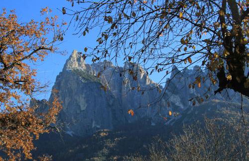 Feldererhof - Foto 55