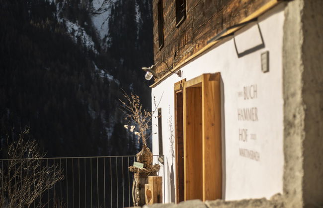 David am Buchhammerhof - Foto 40