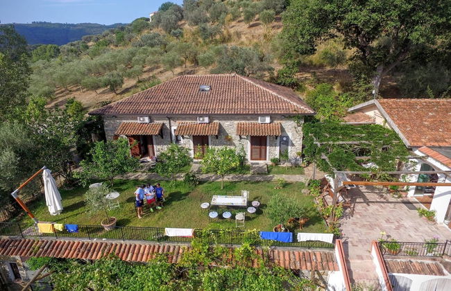 La Gabbianella e il Gatto - Foto 1