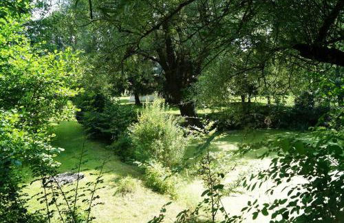 Idylisches Cottage mit Reh - Foto 35