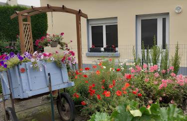 Les Coquelicots En Baie De Somme - Foto 14