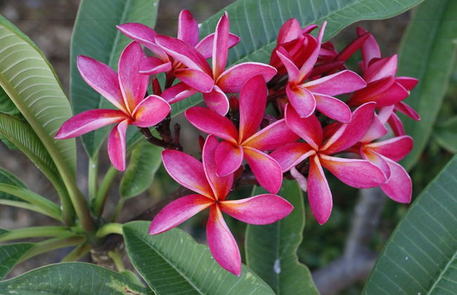 Antica Gebbia - Photo 44