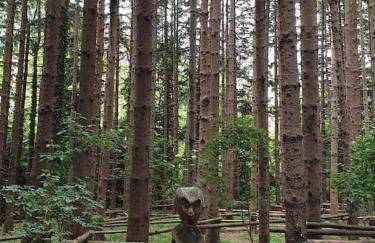 Bilocale Canzo Torre - Lago di Como - Foto 3