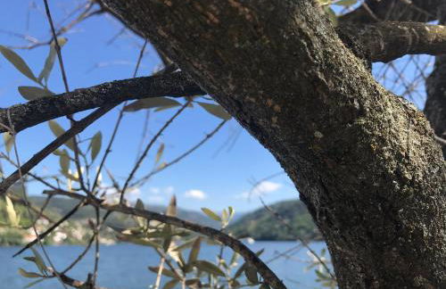 Mira Douro Valley Home - Foto 71