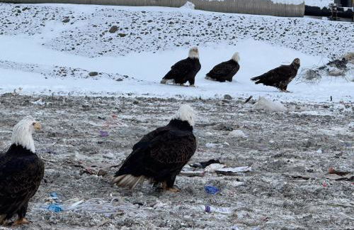 Tiny Home at Bear Mountain -Only 25 Min from Anchorage, Great Central location-Cute & Comfortable - Foto 31