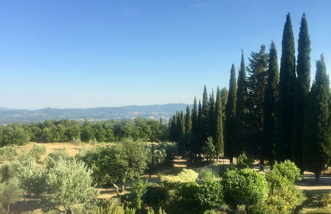 Poggio Corsucci - Foto 59