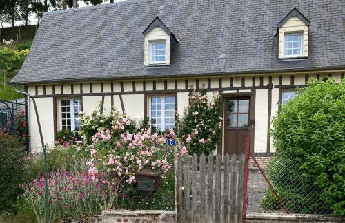 Rose des prés - Foto 1