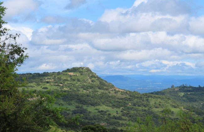 AtNature Luxury Self Catering Cottages - Foto 44